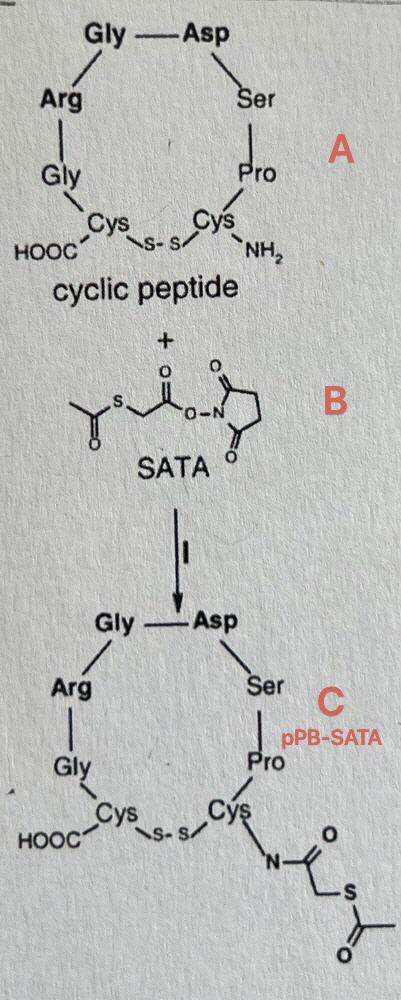 Genosphere Biotechnologies Peptide Synthesis :